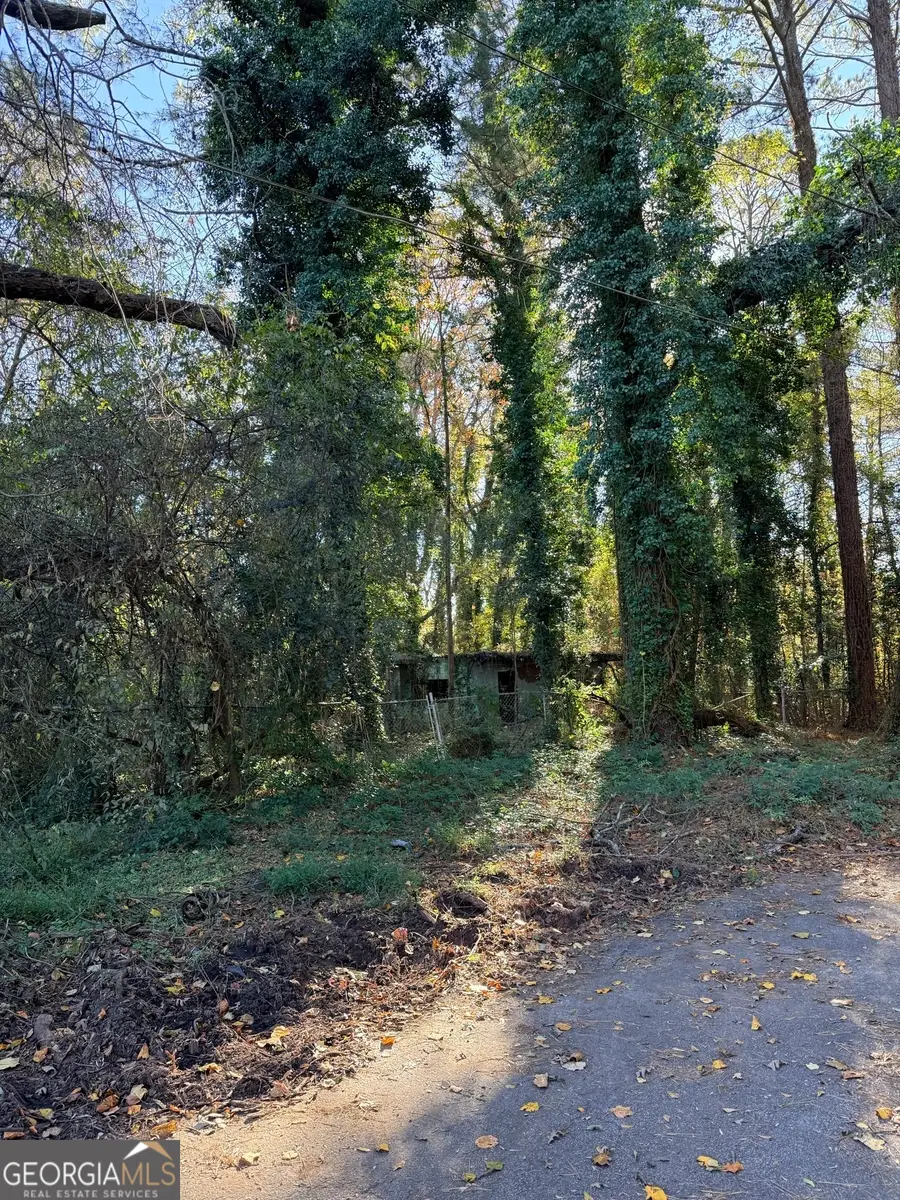 2320 Park Way Sw, Atlanta, GA 30315 - #2