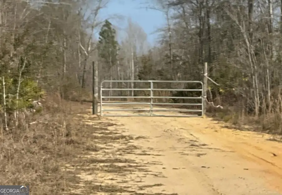 0 Luther Surrency Road Road, Baxley, GA 31513 - Image #2