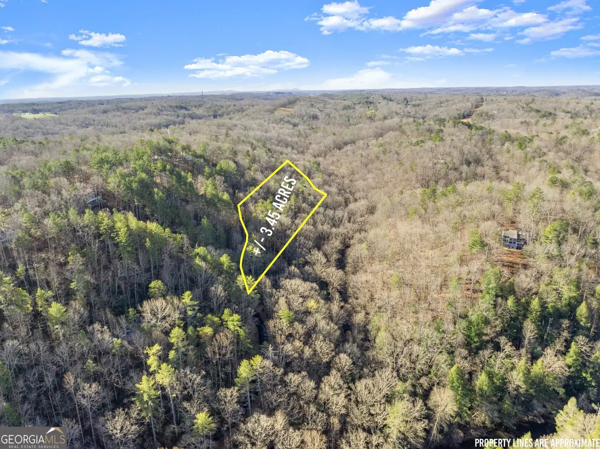 0 River View Lots 12 & 13 Trail W, Dahlonega, GA 30533 - Image #1