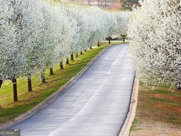 0 Early Red Pippin #1818, Clarkesville, GA 30523