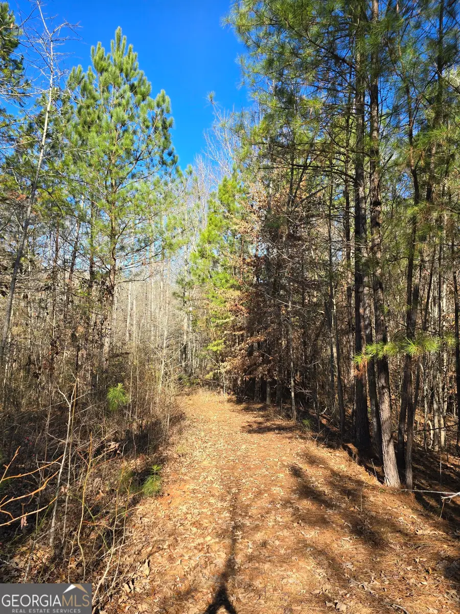 0 Duncan Circle, Jackson, GA 30233 - Image #3