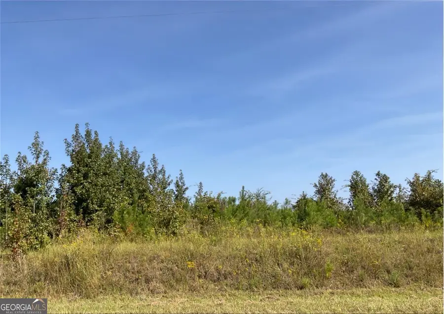 0 Old Balls Ferry Road, Toomsboro, GA 31090 - Image #2