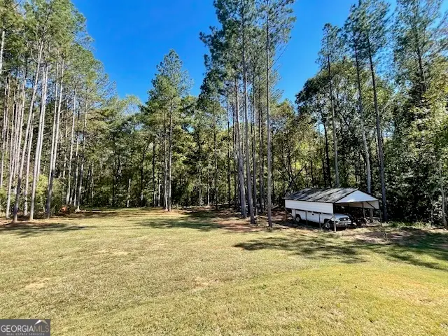 1300 Hunter Welch Parkway, Luthersville, GA 30251 - Image #3