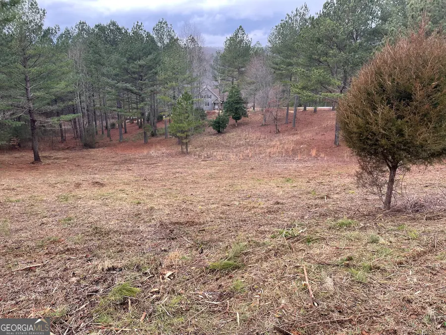 LOT 39 Pinehurst #39, Blairsville, GA 30512 - #3