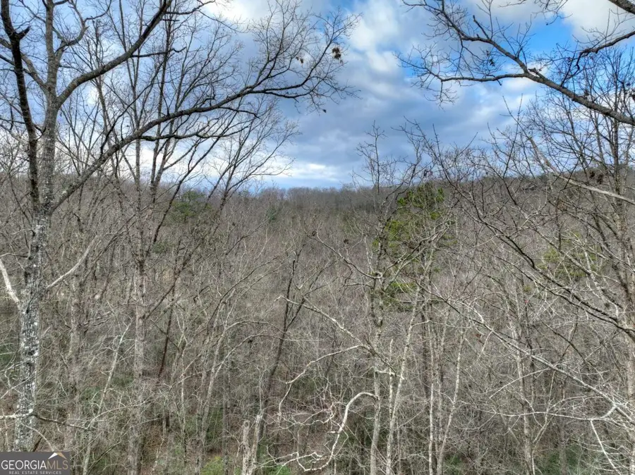 LOT 5 Staurolite Mountain, Blue Ridge, GA 30513 - Image #3