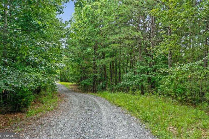 LOT39 Lakeside Trail, Ellijay, GA 30540 - Image #3