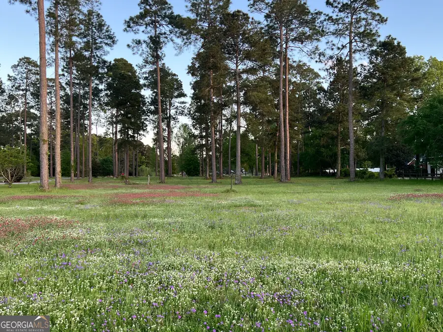 0 Cannon Branch Road, Cordele, GA 31015 - #3
