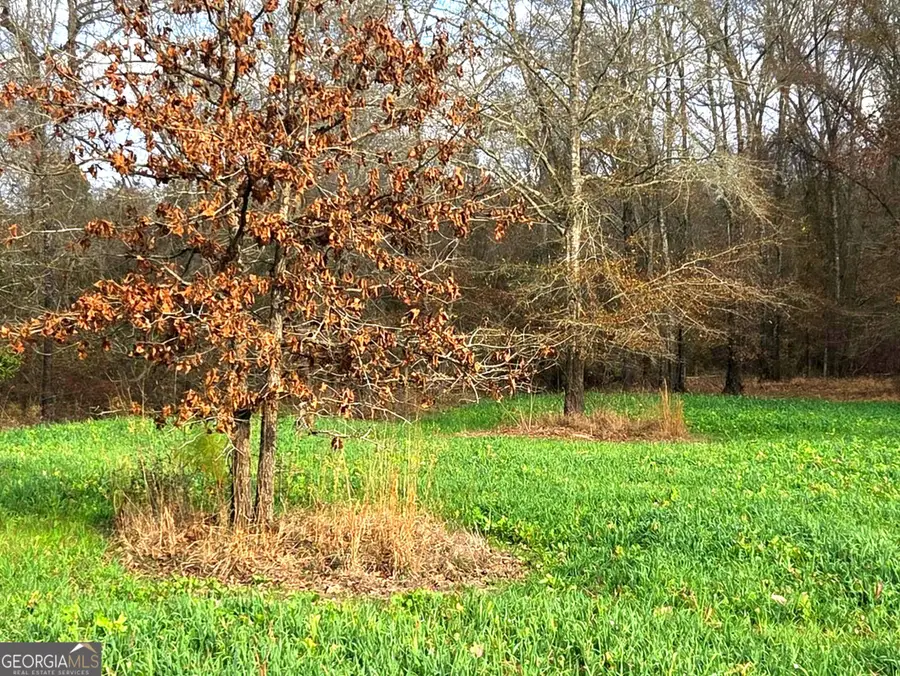 240 80 Highway, Culloden, GA 31016 - Image #2