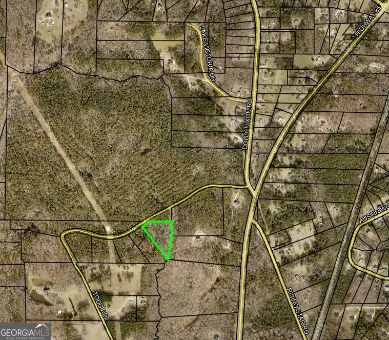 LOT 1 Todd Five, Senoia, GA 30276 - Image #1