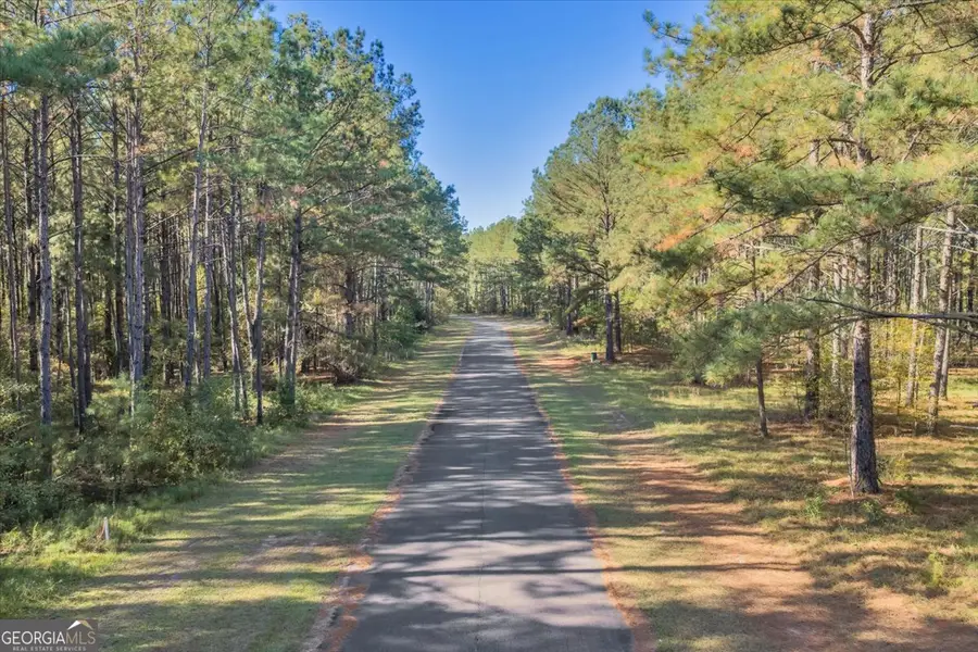 LOT 33 Sweet Magnolia Lane, Dublin, GA 31021 - Image #3
