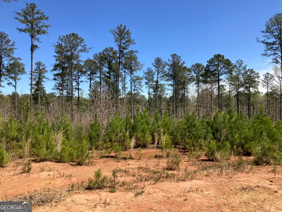 2920 Airline Road, McDonough, GA 30252 - Image #2