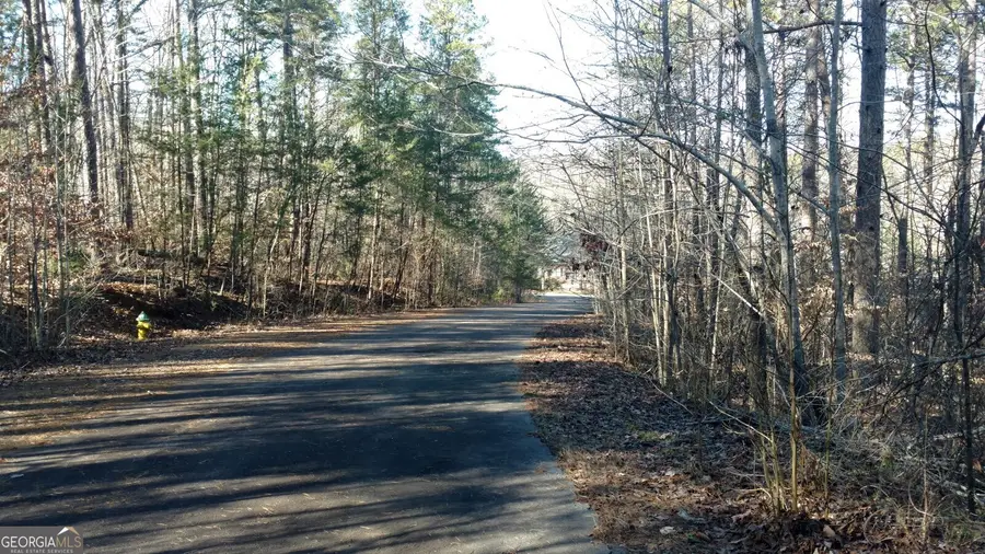 SPRINGVIEW DR. Springview Dr., Westminster, GA 29693 - Image #3