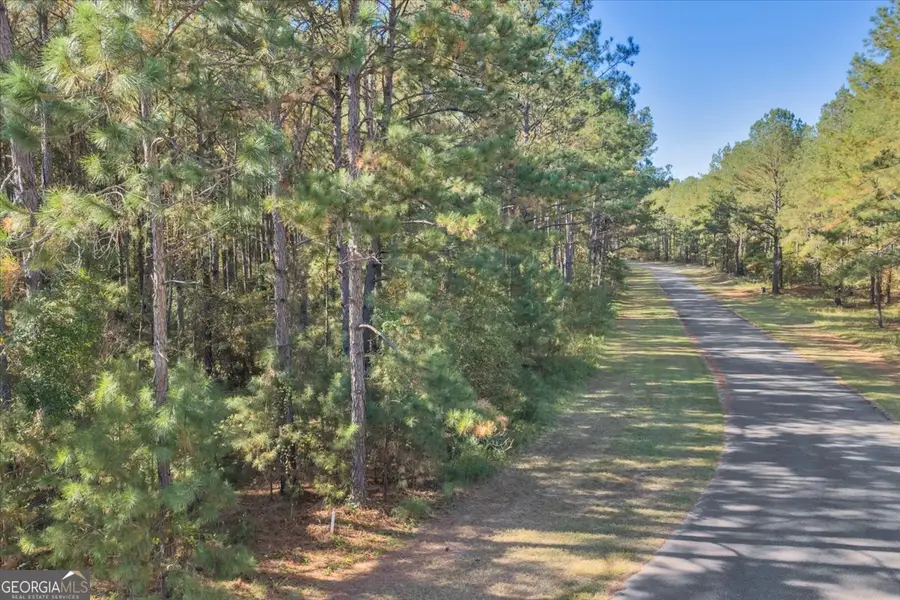 LOT 42 Sweet Magnolia Circle, Dublin, GA 31021 - Image #3