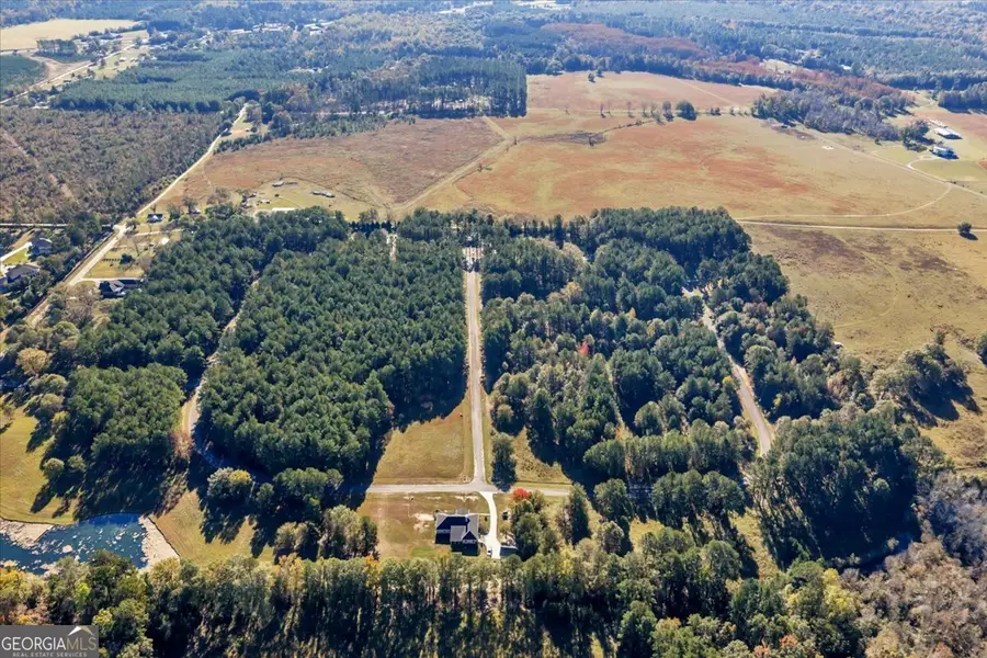 LOT 43 Sweet Magnolia Circle, Dublin, GA 31021 - Image #3