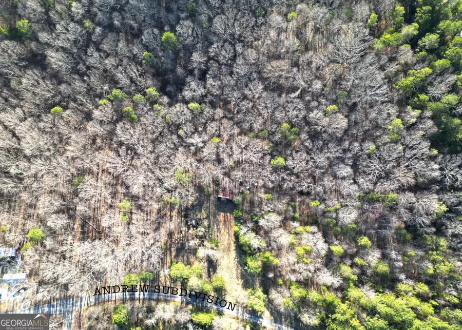 0 Andrews Subdivision Lot 5b, 6, & 7, Lavonia, GA 30553 - Image #3