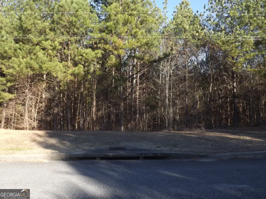 LOT 4 Skyview Street, Cedartown, GA 30125 - Image #2