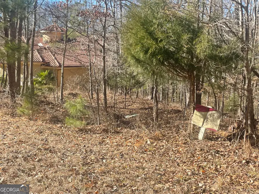 1612 SW Golden Creek Court Sw #LOT 4, Conyers, GA 30094 - Image #3