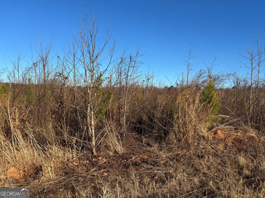 0 83 Connector, Monroe, GA 30655 - Image #3