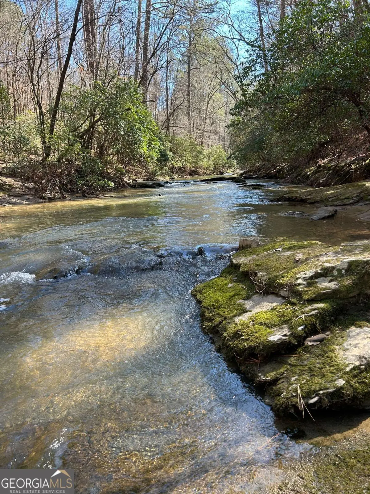 0 Coffee Mill Run, Talking Rock, GA 30175 - Image #1