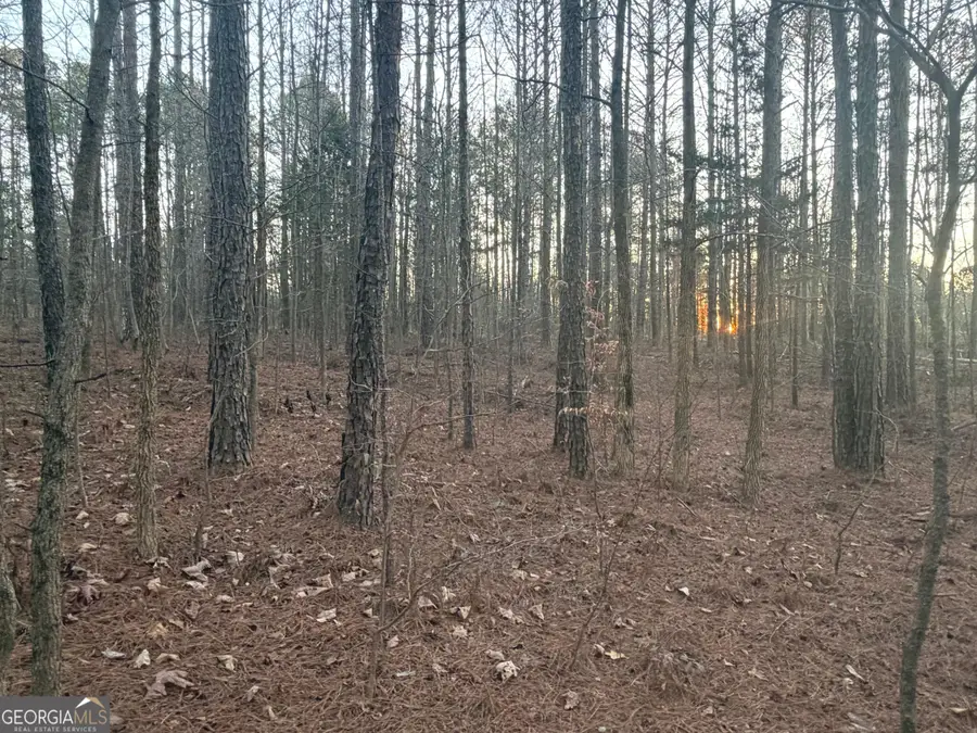 692 Hillcrest Road, Bowdon, GA 30108 - Image #2