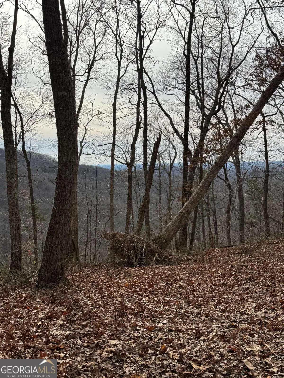 LOT 109A Folkstone Road, Talking Rock, GA 30175 - Image #1