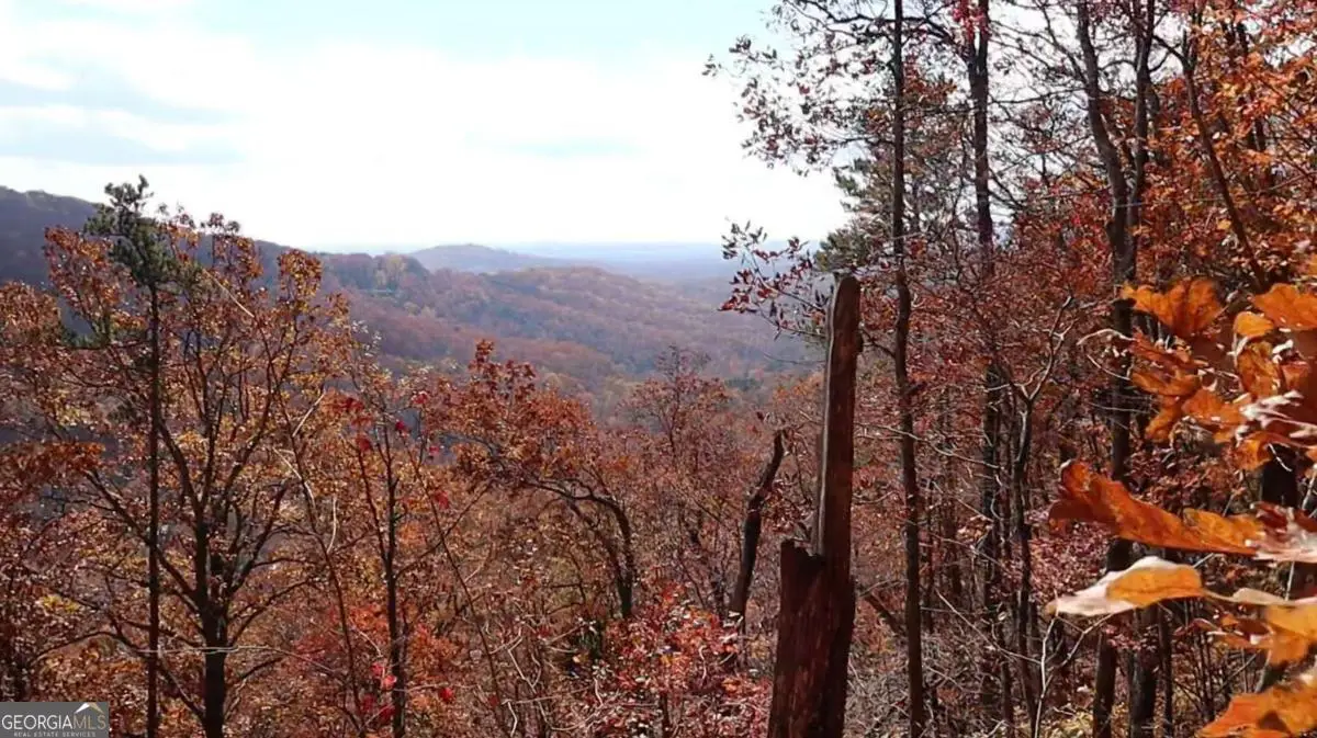 LOT 109B Folkstone Road, Talking Rock, GA 30175 - Image #1