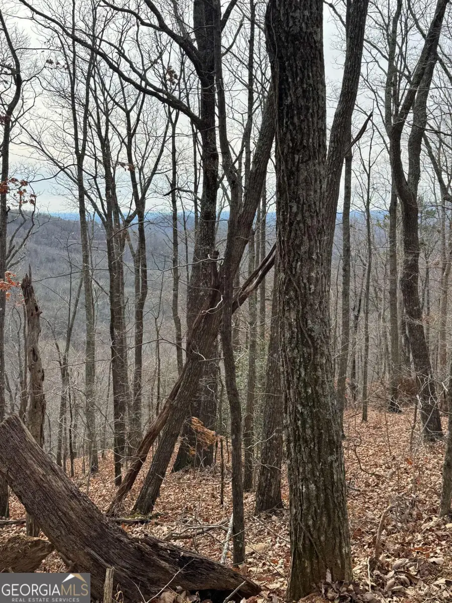 LOT 109B Folkstone Road, Talking Rock, GA 30175 - Image #3