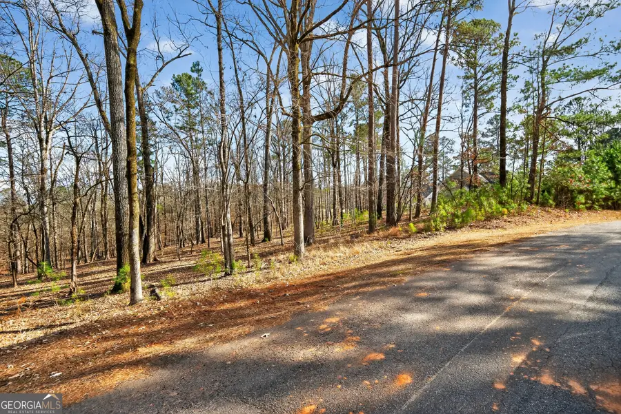 1021 Shadow Creek Way, Greensboro, GA 30642 - Image #2