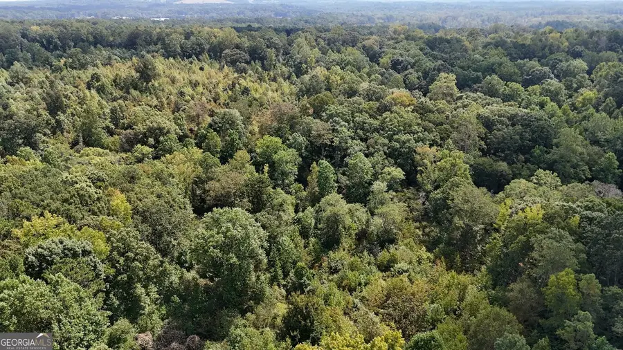 0 Bar J, Temple, GA 30179 - #3