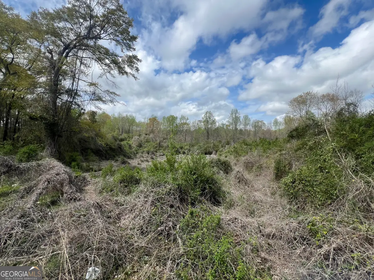 1029 Cr- 474, Lafayette, AL 36862 - Image #1