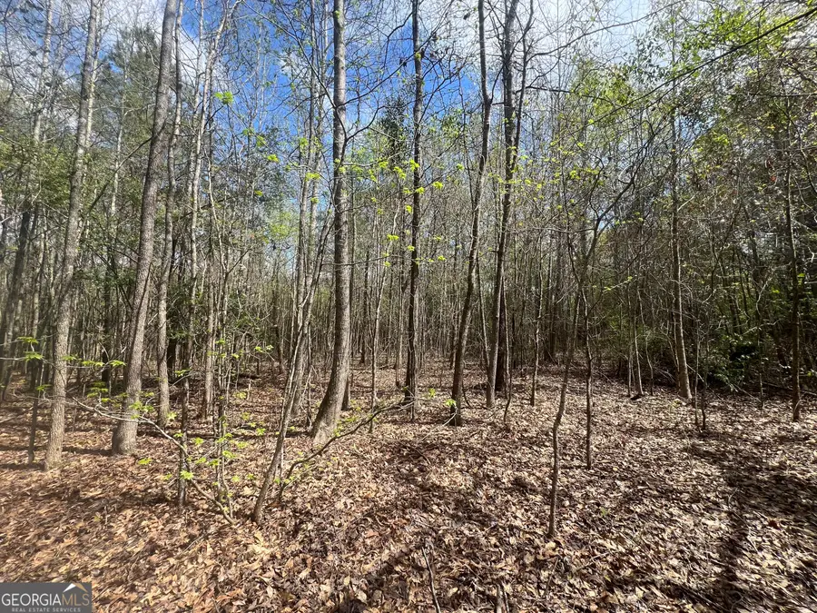 1029 Cr- 474, Lafayette, AL 36862 - Image #2