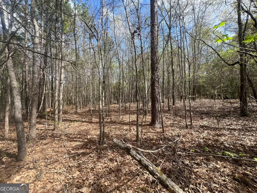 1029 Cr- 474, Lafayette, AL 36862 - Image #3