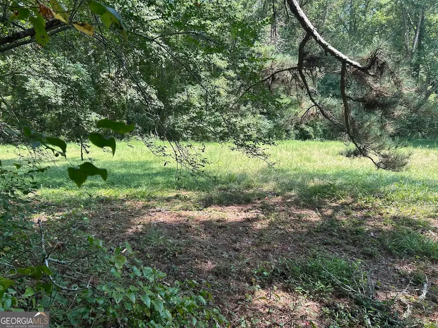 0 Attaway Road-9.22, Bowdon, GA 30108 - Image #3