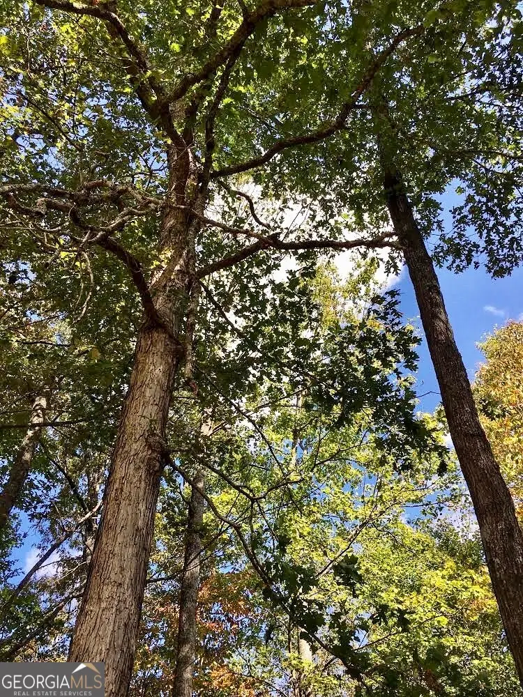 0 Donley Road, Murphy, NC 28906 - Image #2