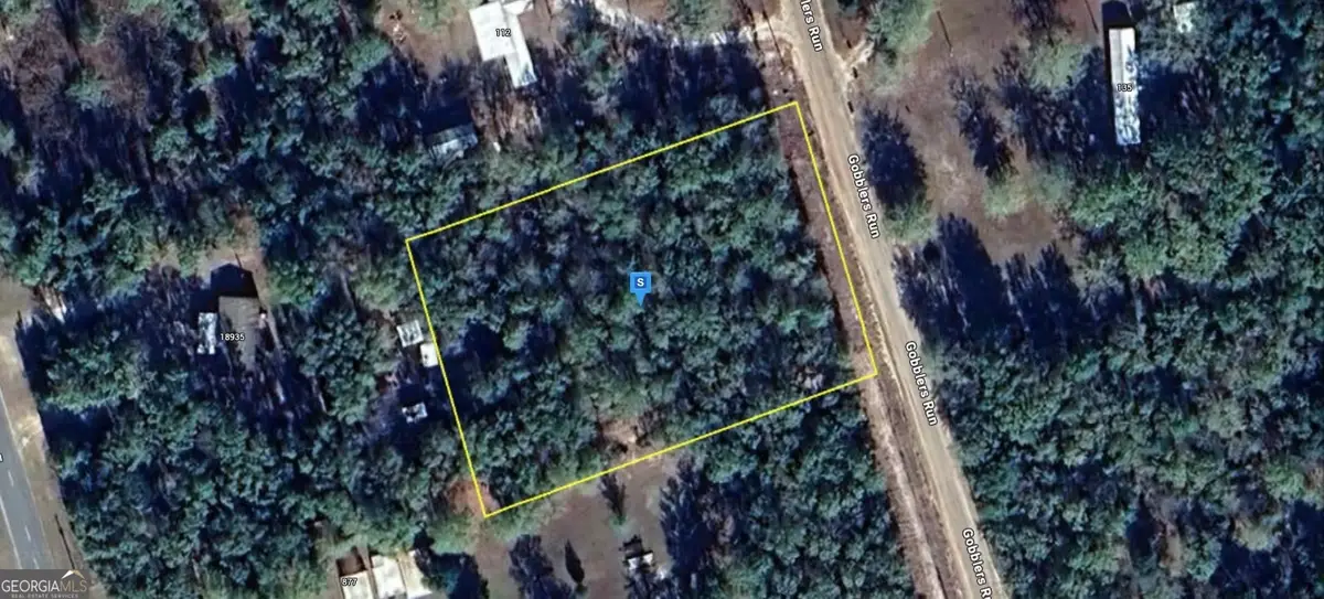 200 Gobblers Run, Nahunta, GA 31553 - Image #1