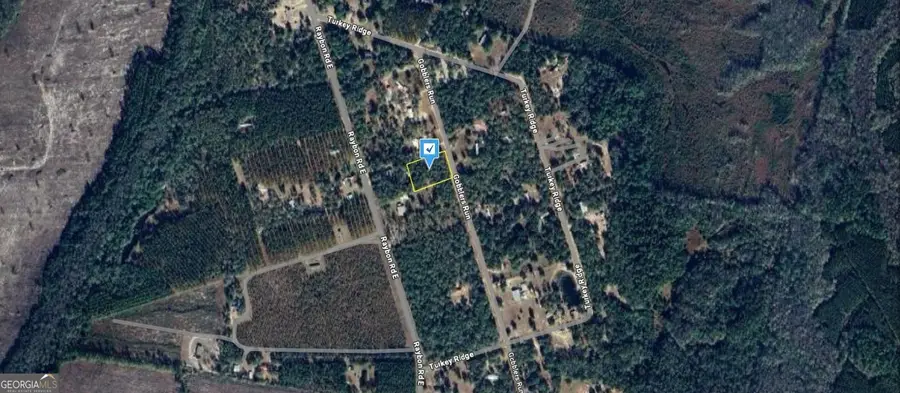 200 Gobblers Run, Nahunta, GA 31553 - Image #3