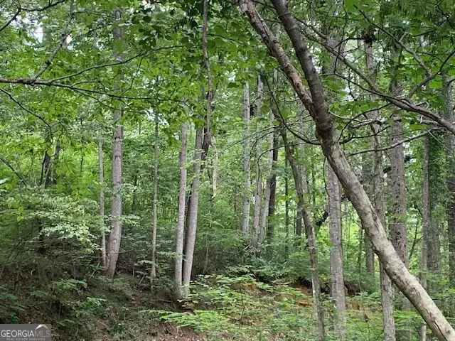 0 Mt. Sinai Road, Lula, GA 30554 - Image #3