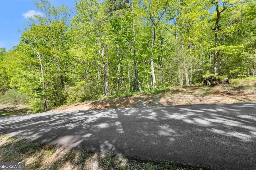 0 Pippin Circle #635, Clarkesville, GA 30523 - Image #3