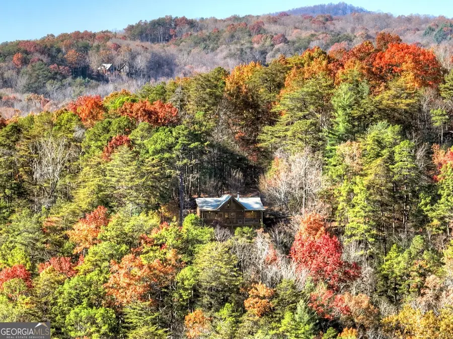 146 Rosiey Lane, Blue Ridge, GA 30513 - #2