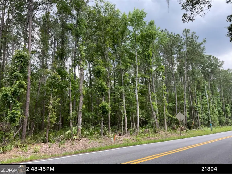 0 Dover Bluff Road, Waverly, GA 31565 - #3