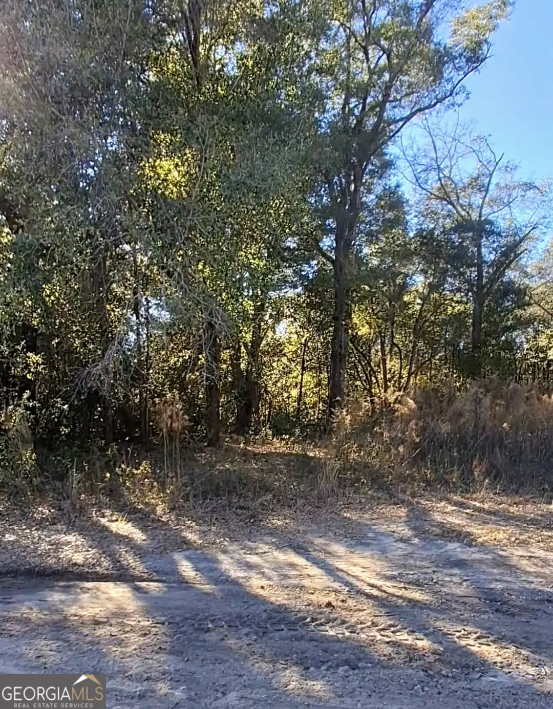 0 Big Oak Lane, Newton, GA 39870 - #1