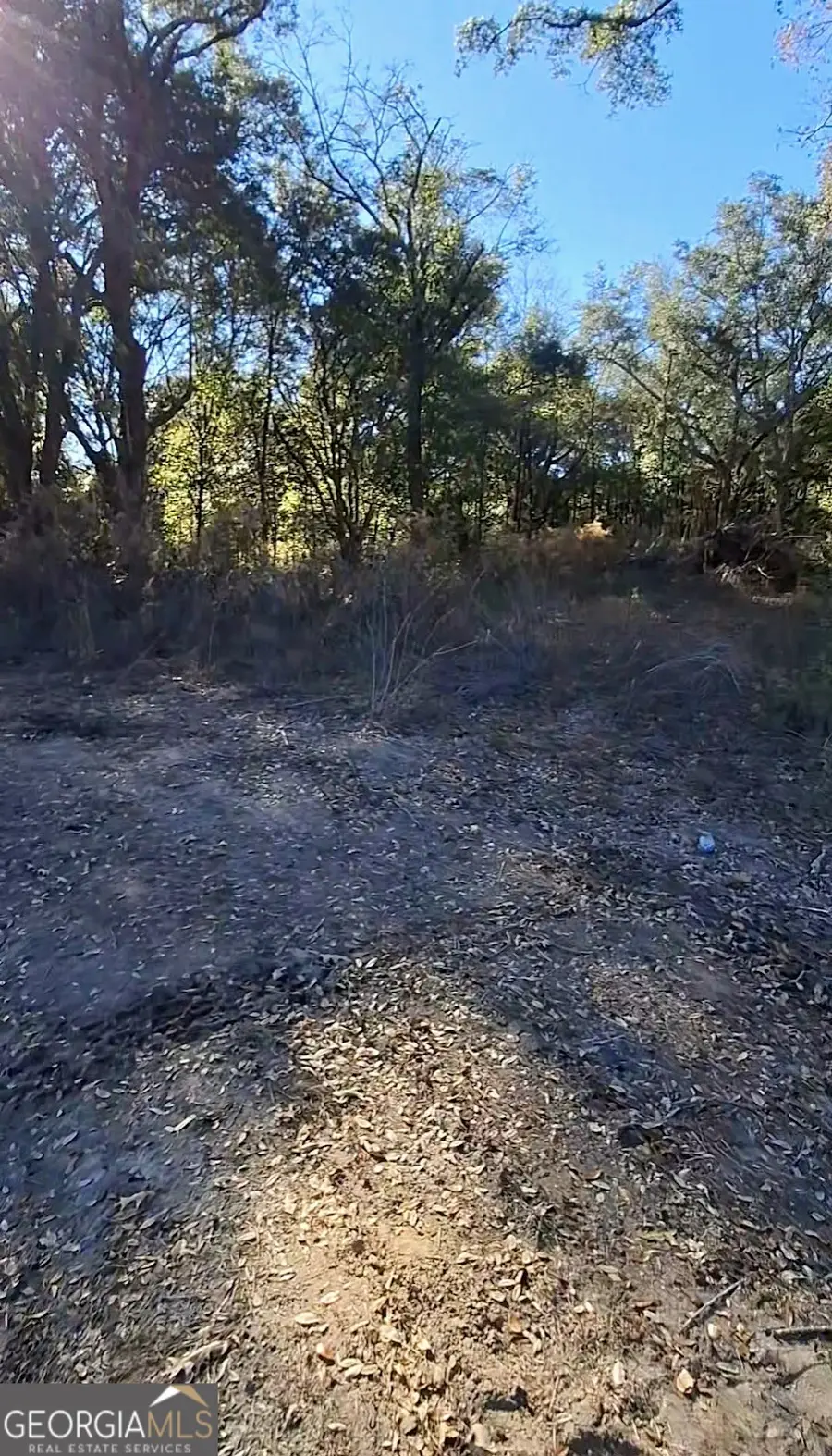 0 Big Oak Lane, Newton, GA 39870 - #2
