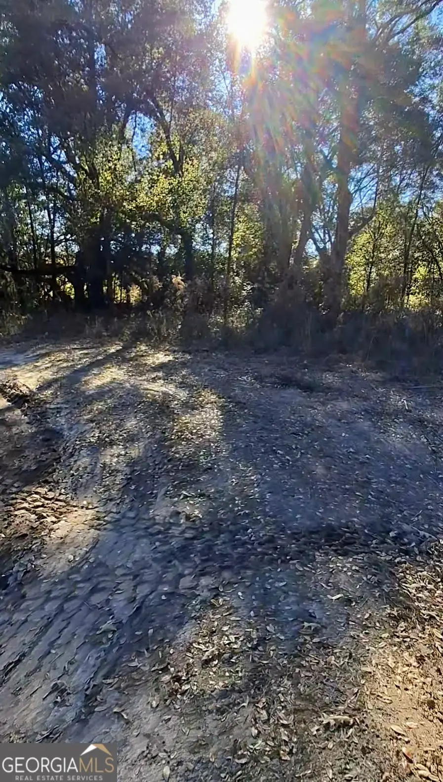 0 Big Oak Lane, Newton, GA 39870 - #3