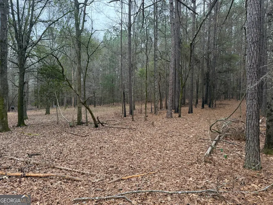 0 Bagwell Road, Molena, GA 30258 - Image #3