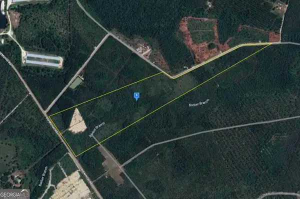 6400 Old Moniac Road, St. George, GA 31562