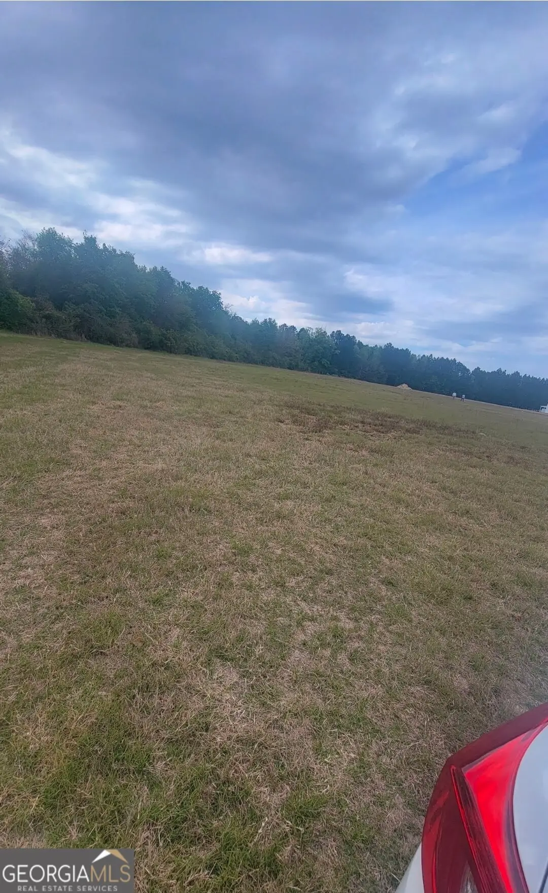 481 & 523 NE T Morris Road, Ludowici, GA 31316 - Image #1