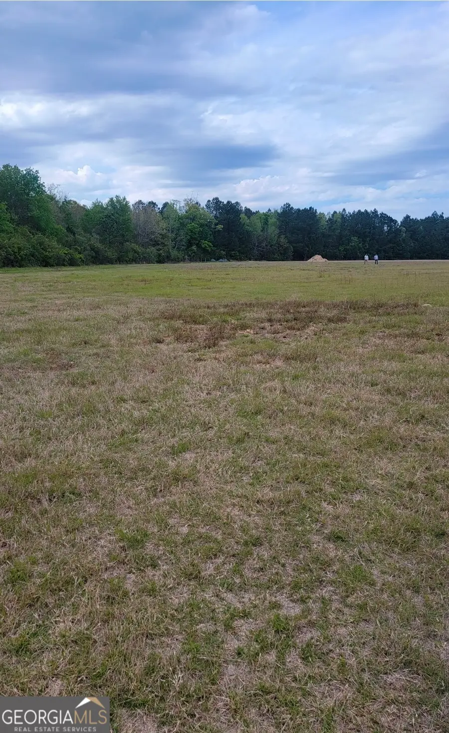 481 & 523 NE T Morris Road, Ludowici, GA 31316 - Image #3