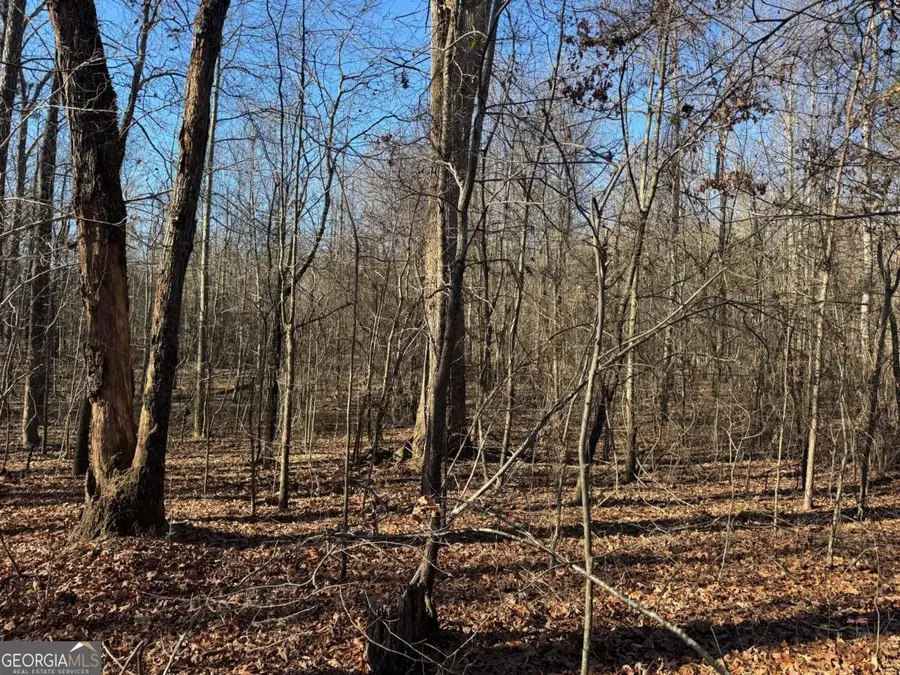 6601 Hog Mountain Hwy - Hwy 53 #PARCEL B - 3 ACRES, Bogart, GA 30622 - Image #3