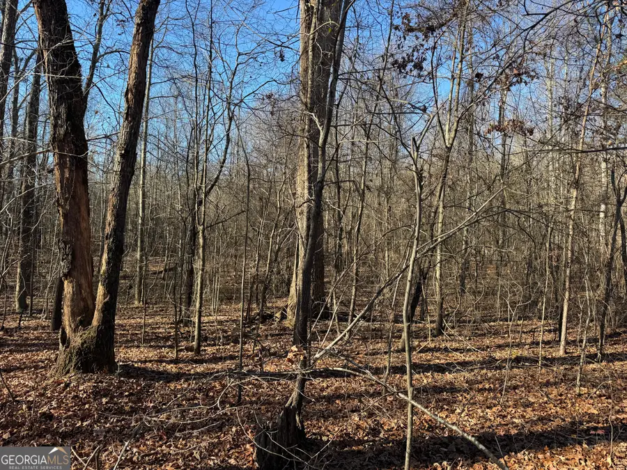 4611 Monroe Hwy - Hwy 78 #PARCEL C - 3 ACRES, Bogart, GA 30622 - Image #3