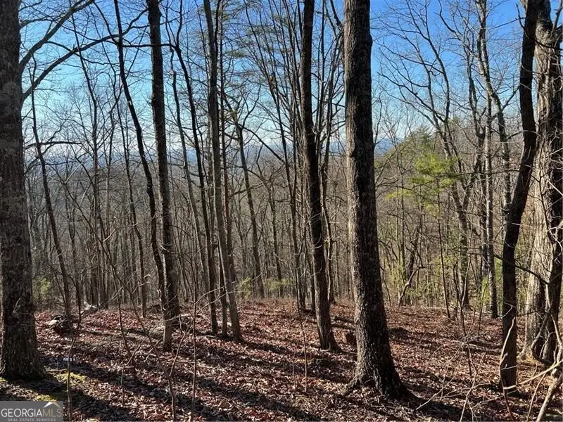 197 Stirratt Road, Ranger, GA 30734 - Image #2